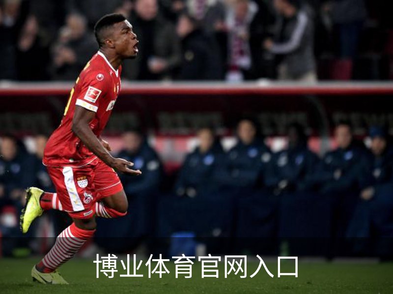博业体育官网入口介绍
